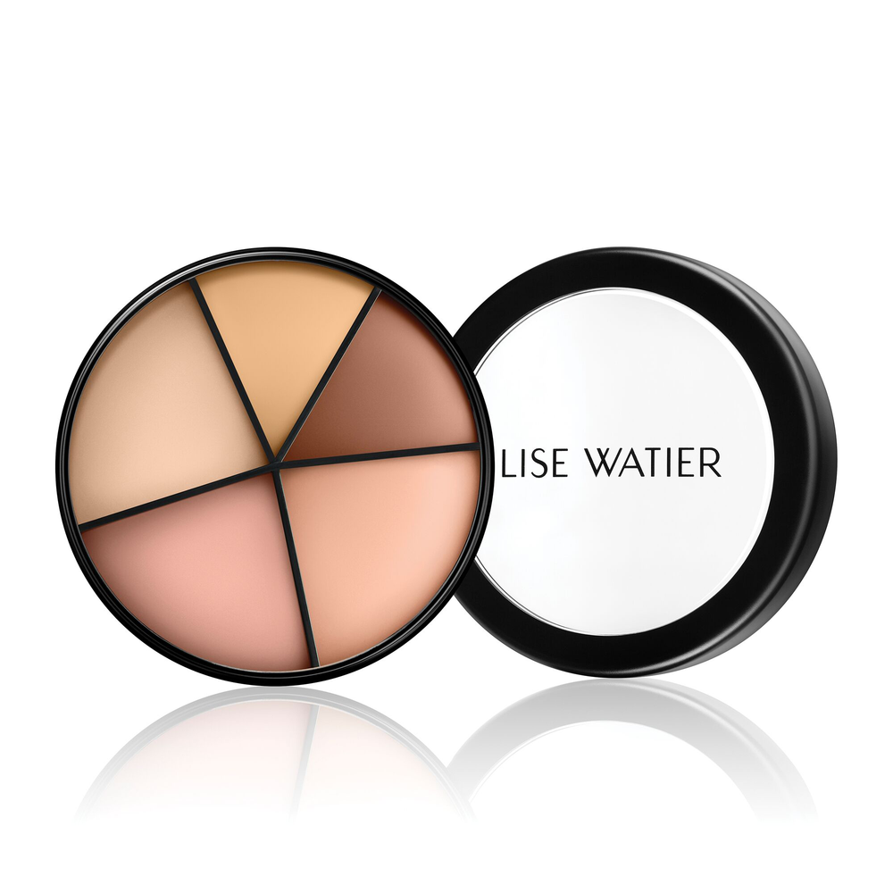 Portfolio Professional Correctors 4-in-1