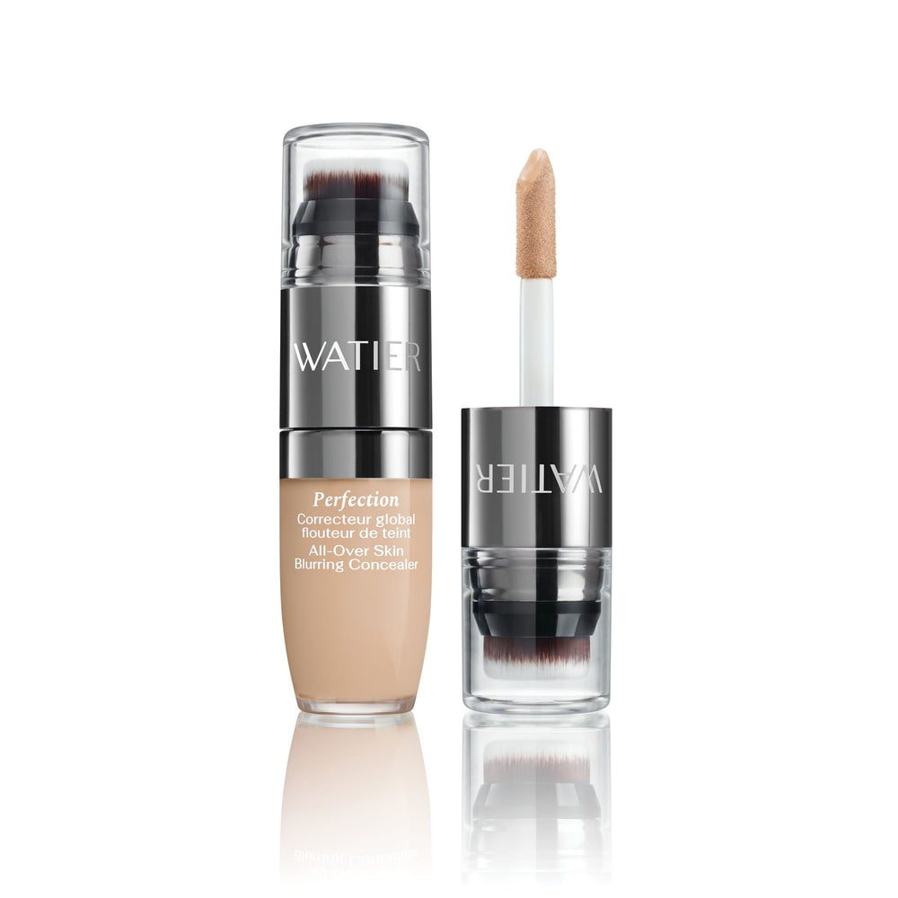 Perfection All-Over Skin Blurring Concealer