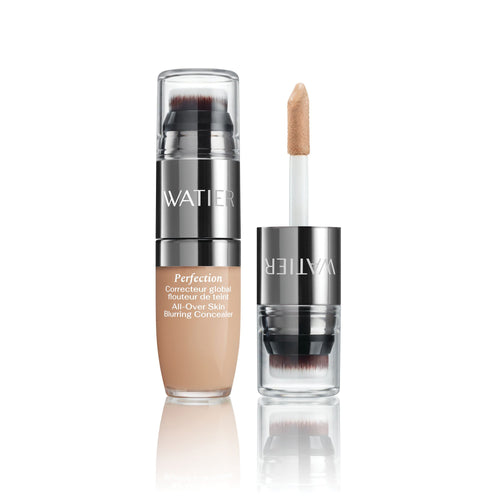 Perfection All-Over Skin Blurring Concealer