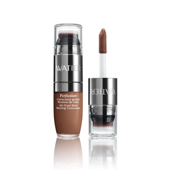 Perfection All-Over Skin Blurring Concealer