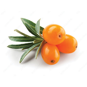 Sea buckthorn leaf