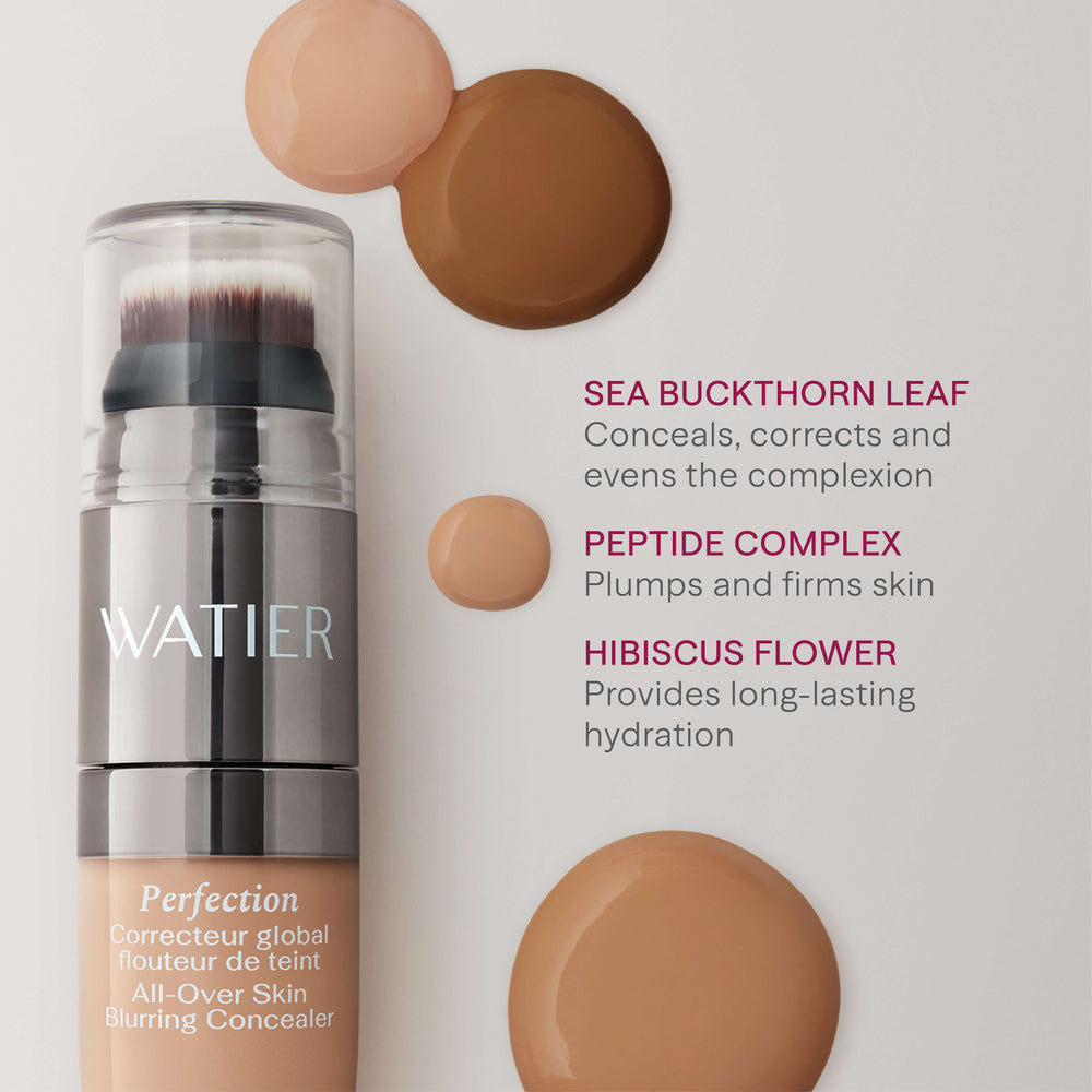 Perfection All-Over Skin Blurring Concealer