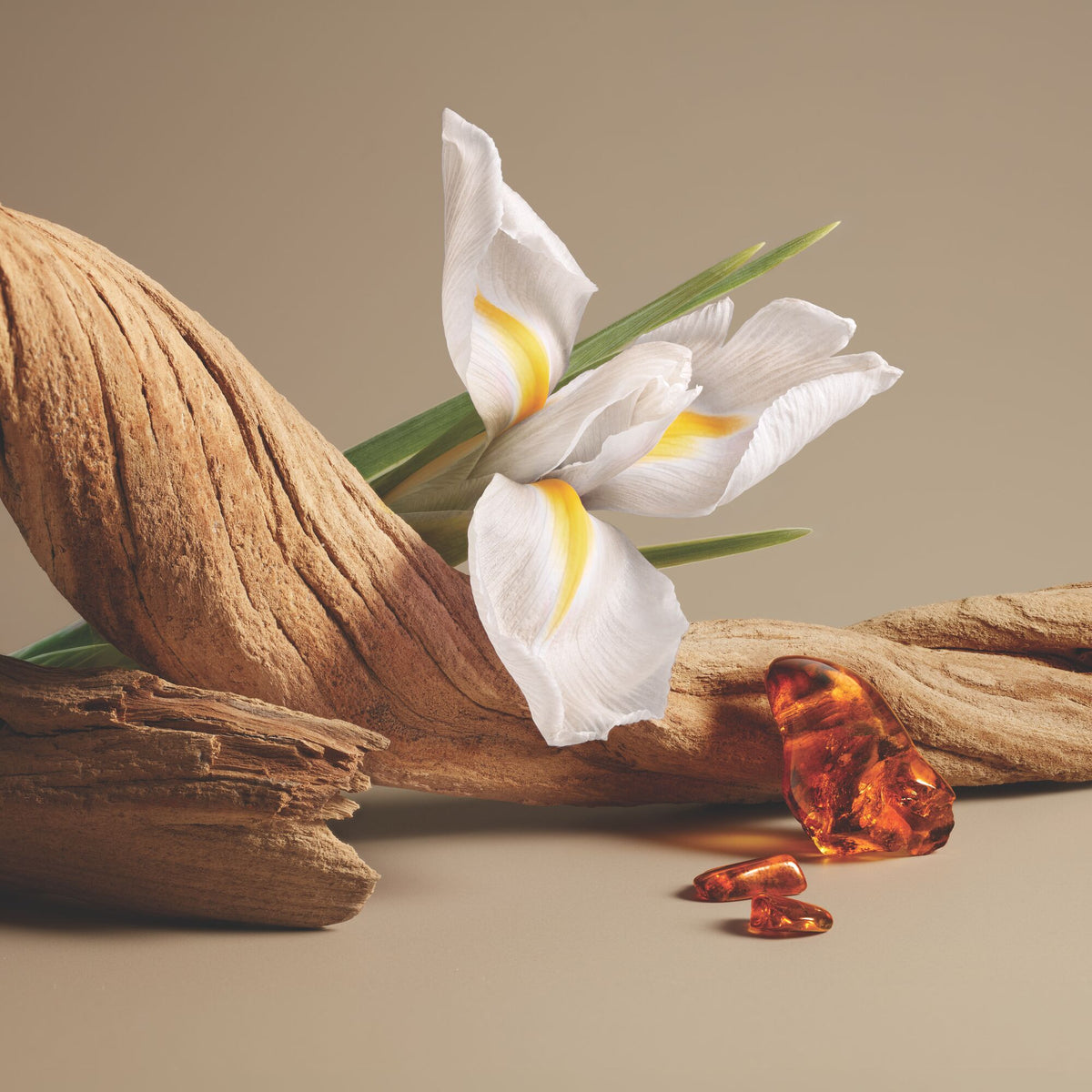 Neiges d'Ambre Eau de Parfum Spray