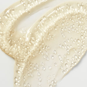 Bacillus ferment