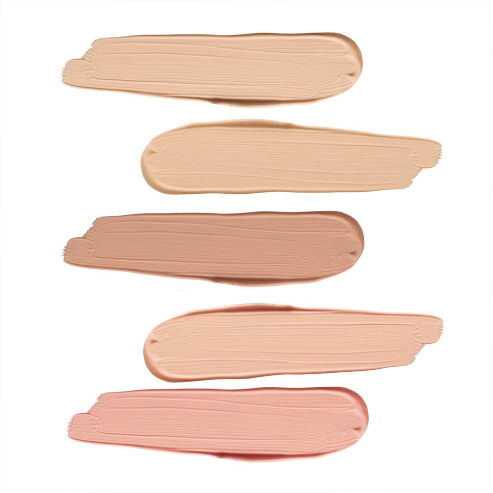 Portfolio Professional Correctors 4-in-1